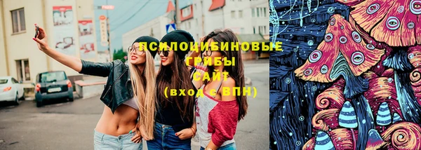 стафф Краснотурьинск