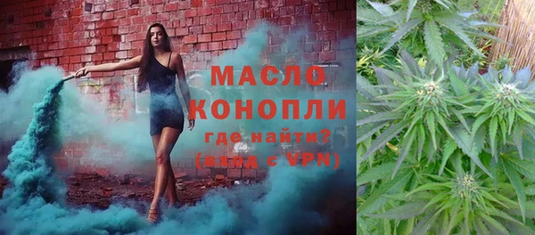 гидра Краснослободск