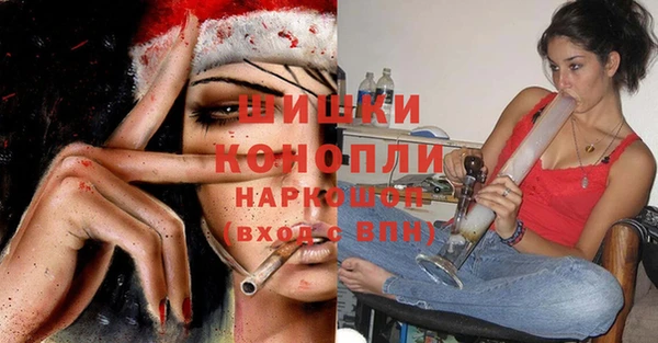 гидра Краснослободск