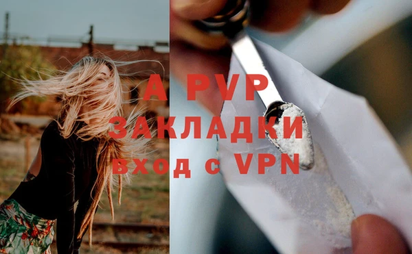 гидра Краснослободск