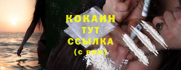 гидра Краснослободск